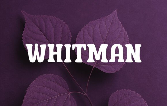 Whitman Font: A Playful Yet Professional Typeface